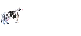pg电子模拟器网站